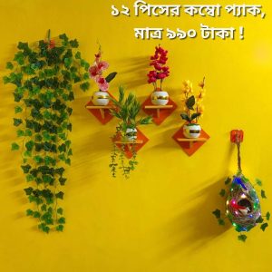 ১২ পিসের কম্বো প্যাকে আপনার বাসা কিংবা অফিস হোক আরো সুন্দর ও আকর্ষণীয়।