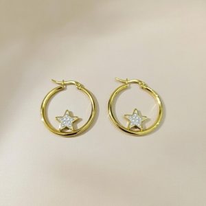 stainless steel earring