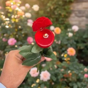 Rose Ring Box Pen Sound I Love You R0330